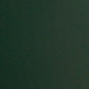 Meet your Posher, Alisha